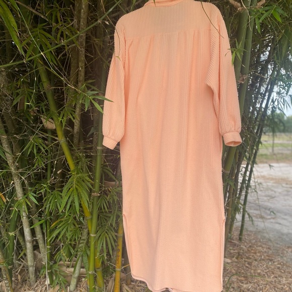 70’s stripe Cantaloupe Terrycloth Shirtdress - Picture 6 of 6